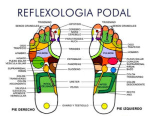 Reflexologia podal en Reus Tarragona